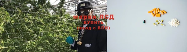 ПСИЛОЦИБИНОВЫЕ ГРИБЫ Алексеевка