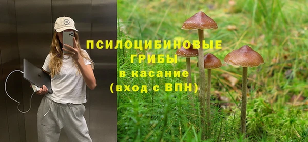 ПСИЛОЦИБИНОВЫЕ ГРИБЫ Алексеевка