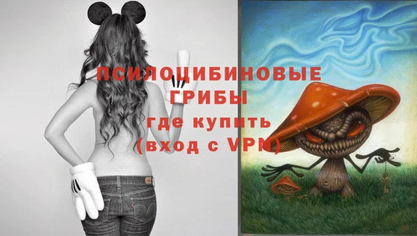 синтетический гашиш Алексин