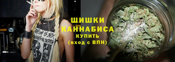 ПСИЛОЦИБИНОВЫЕ ГРИБЫ Алексеевка