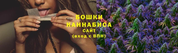 ПСИЛОЦИБИНОВЫЕ ГРИБЫ Алексеевка