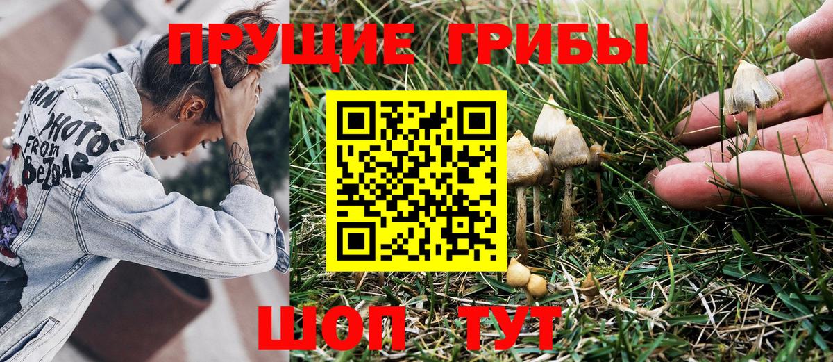 Галлюциногенные грибы Magic Shrooms  Вход с VPN  Сыктывкар  Псилоцибиновые грибы Magic Shrooms 