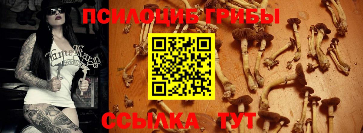 Псилоцибиновые грибы мицелий Сыктывкар